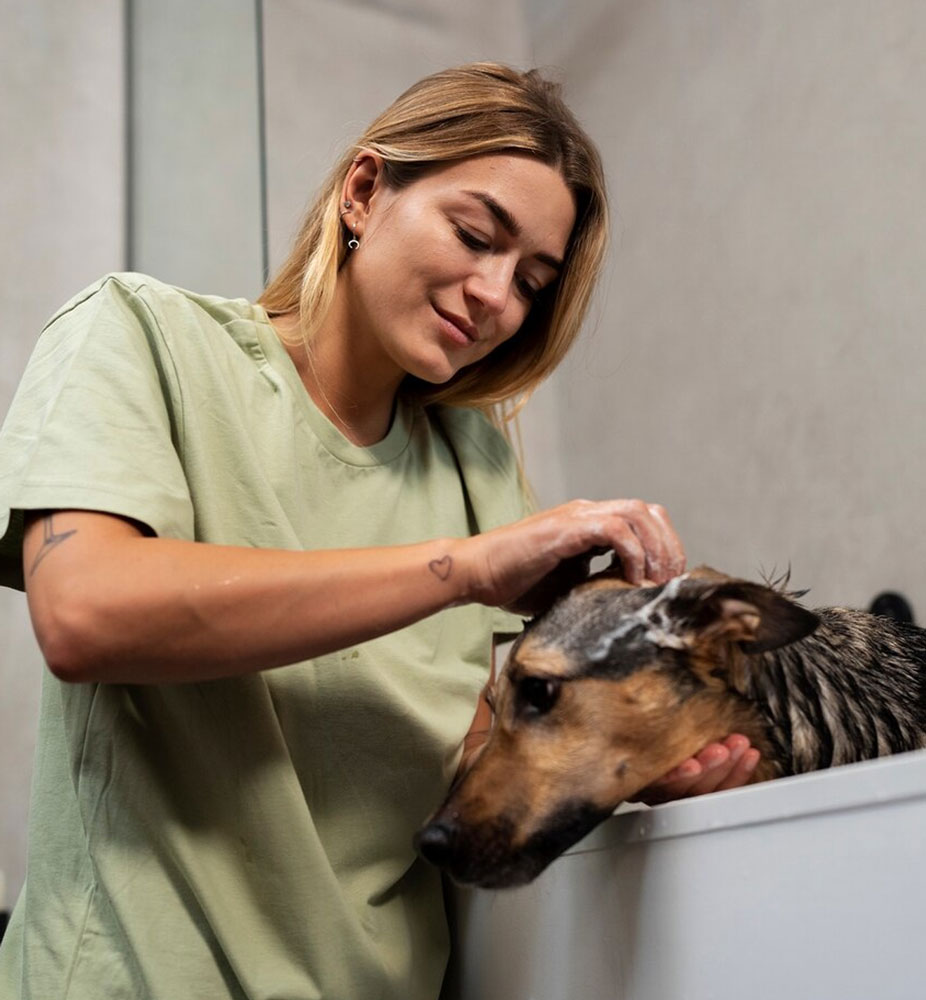 Pet washing area at Smiley’s Car Wash – Katy TX pet wash station